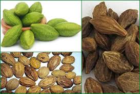 Piles Se Rahat: Piles Ke Liye Ayurvedic Upay