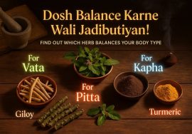 आयुर्वेदिक जड़ी-बूटियाँ जो दोष संतुलन में सहायक हैं