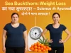 sea buckthorn