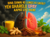 Bina Dawai ke Lungs ki Safai? Yeh Gharelu Upay Aapke Liye Hain!
